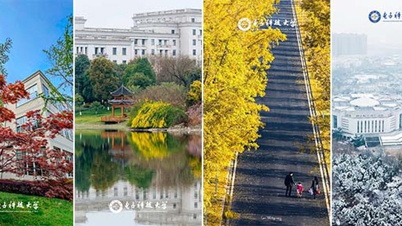 三极管型号参数解读：如何从规格表中挑选合适产品**
